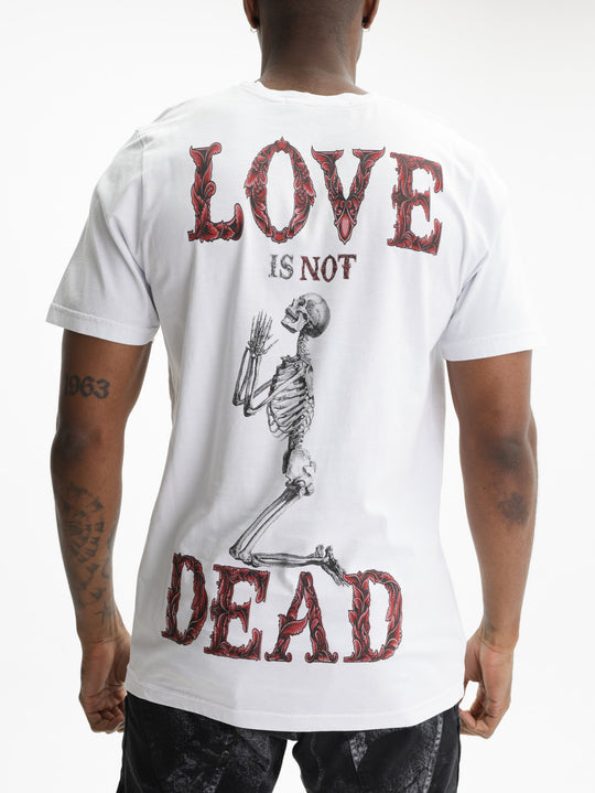 Massimo Sabbadin T-Shirt  Island White