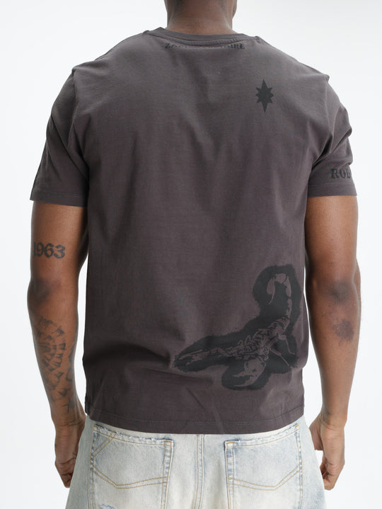 Zadig & Voltaire T-Shirt Tommy Hc Multicusto Chocolate Brown