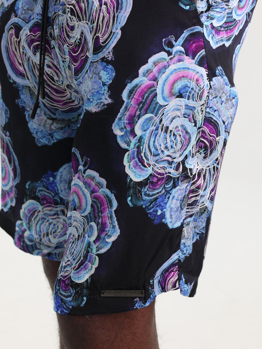 Costume National Shorts Bermuda St. Conchiglia Black-Multi