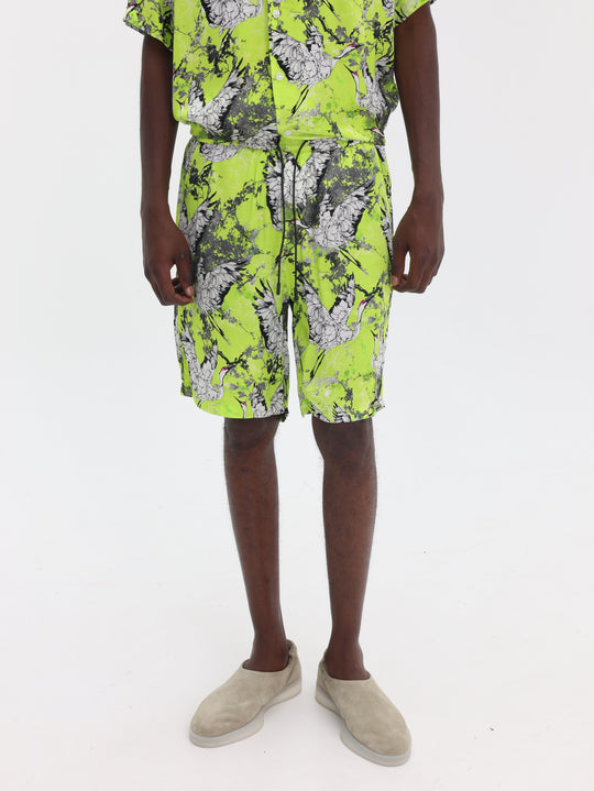 Costume National Shorts  Bermuda St. Orione