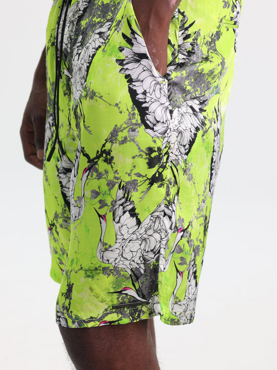 Costume National Shorts  Bermuda St. Orione