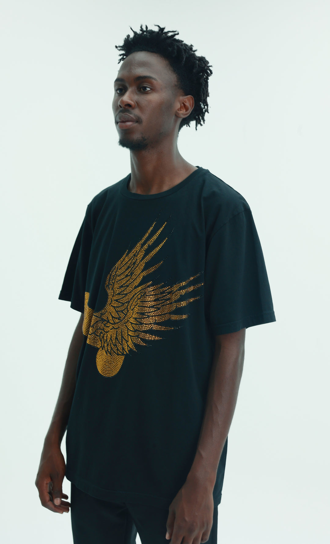 Massimo Sabbadin Crew Wings Gold